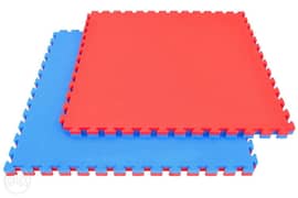 . . ,Blue/Red Foam 2.5cm Club Mat for sale 0