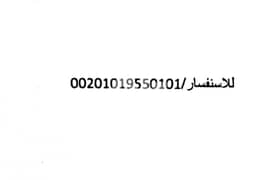محاسب مصري 0