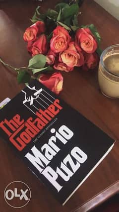 The Godfather by Mario Puzzo book 0