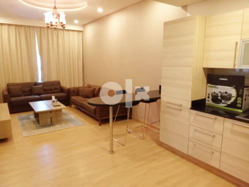 all new one bedroom for rent juffiar 1