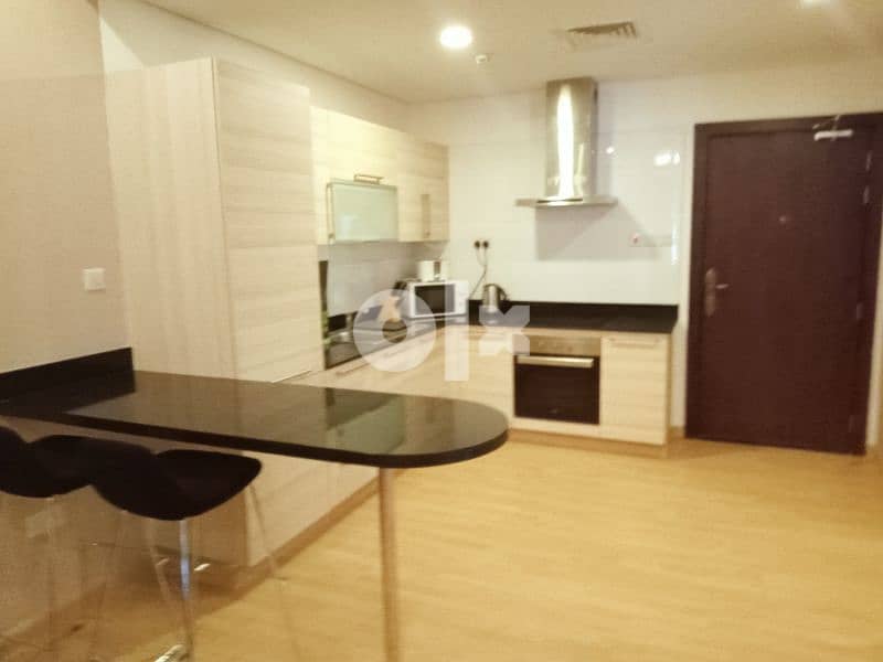 all new one bedroom for rent juffiar 2