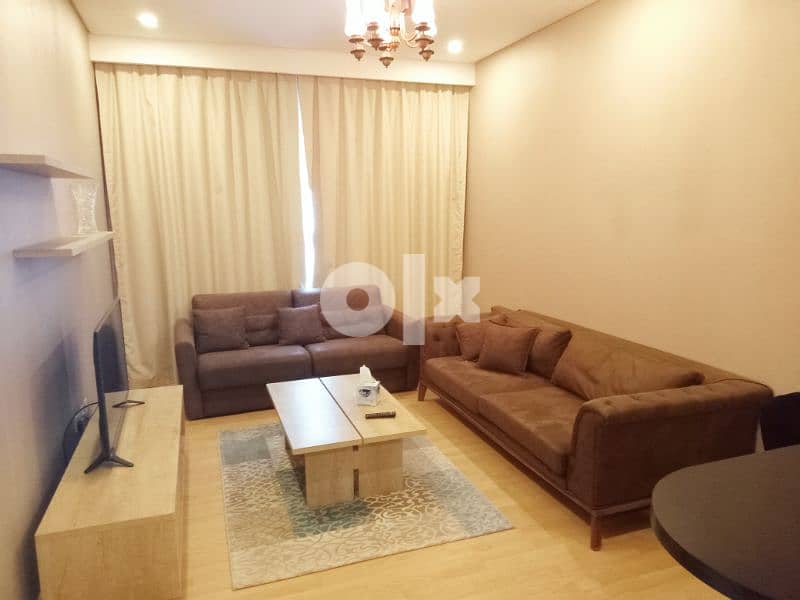all new one bedroom for rent juffiar 4