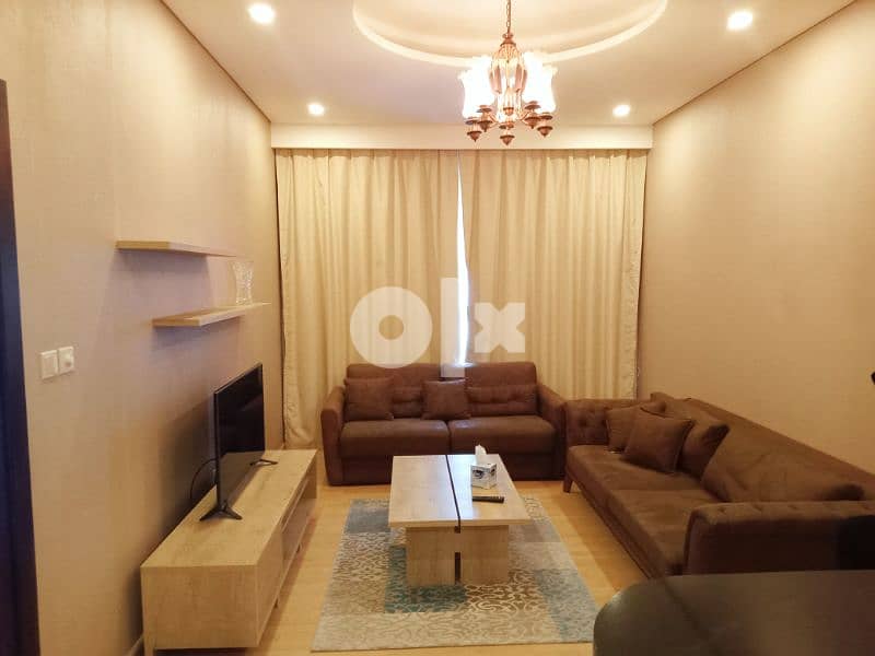 all new one bedroom for rent juffiar 5