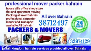 Mover packer shifting things house hold items service
