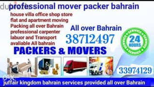 Movers Packers service villa shifting house flat 0