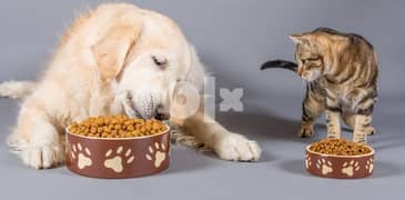 خط انتاج طعام الكلاب والقطط 0
