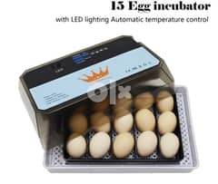 Egg Incubator for chicks 0