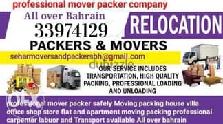Professional Mover's Packer's Company 0