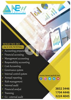 Accounting  \/ Tax-Auditing Bookkeeping- 0