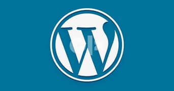 We develop any kind of WordPress website