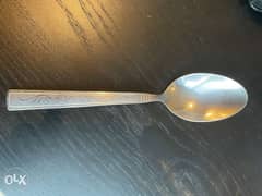 Stainless Steel Spoons 0