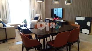 fully furnished luxury apartment 0