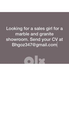 Looking for sales girl for a showroom 0