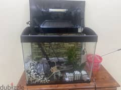 Fish Tank with Free Accessories 0