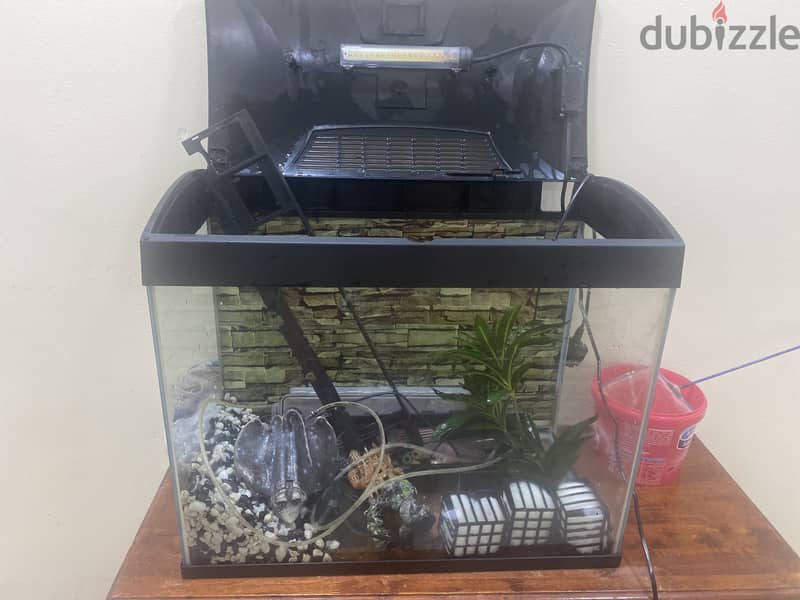 Fish Tank with Free Accessories 2