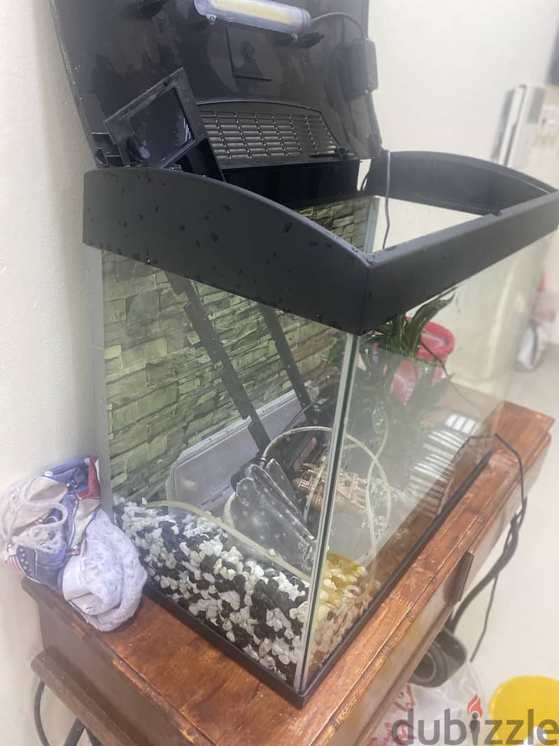 Fish Tank with Free Accessories 6
