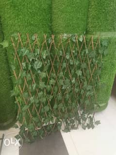 Wallpaper Grass parkey 0