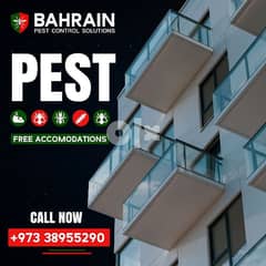 pest control solution Bahrain 0