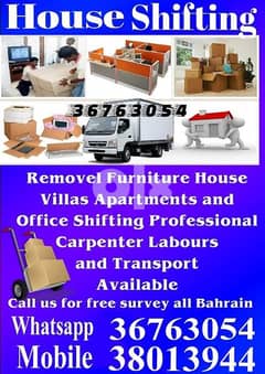 Professional carpenter transport labour services cargo services 0