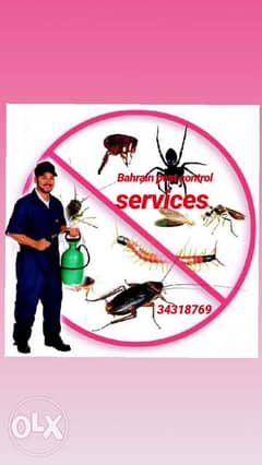 Dream pest control services Bahrain 0