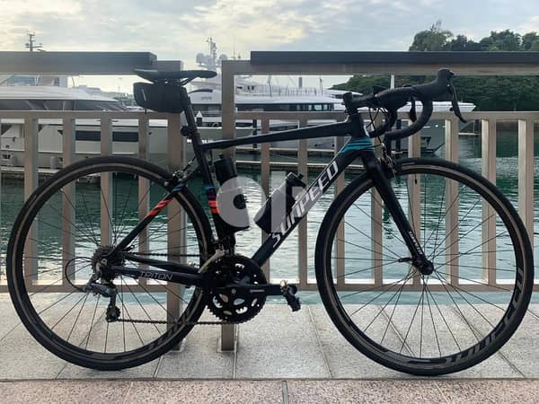 Sunpeed triton frameset online price