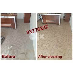 cleaning and pest control services 0