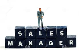WE ARE LOOKING SALES MANAGERS 0