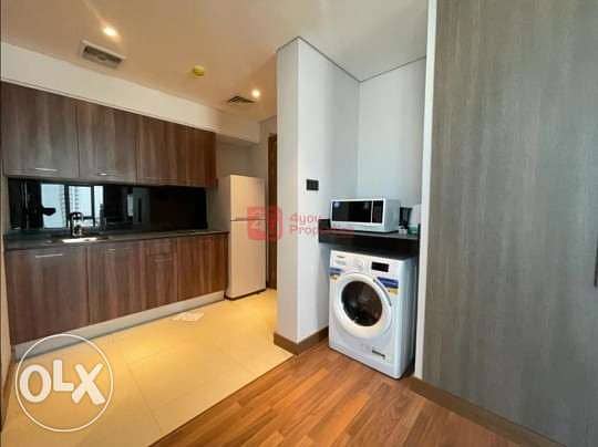 Modern Furnished Studio Apartment 2