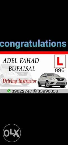 Driving instructor for private license 0