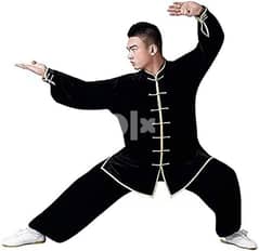 Kung-fu / Martial Arts training available 0
