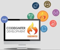Looking for Codeigniter Developer 0
