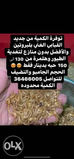 mealworms 150 peace 1bd 0