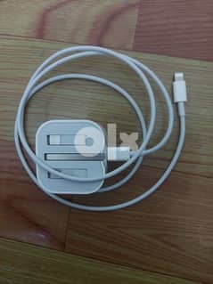 Apple iPhone Charger 0