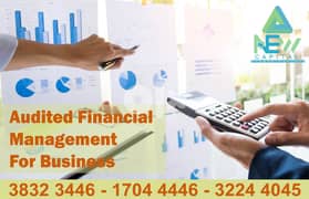 Audited Service Business Financial For Business 0