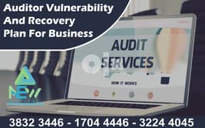 Vulnerability Auditor and Recovery Plan 0