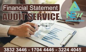 Financial Audit statement  0