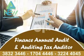 Finance Annual Audit and Auditing Tax Auditor 0