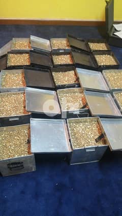 3000 kg gold for sale 0