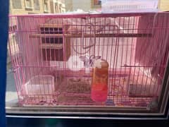 finches with cage and breeding box 0