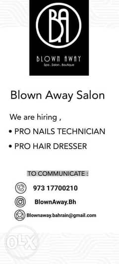 Need pro nail & hair - Hospitality - 102378890