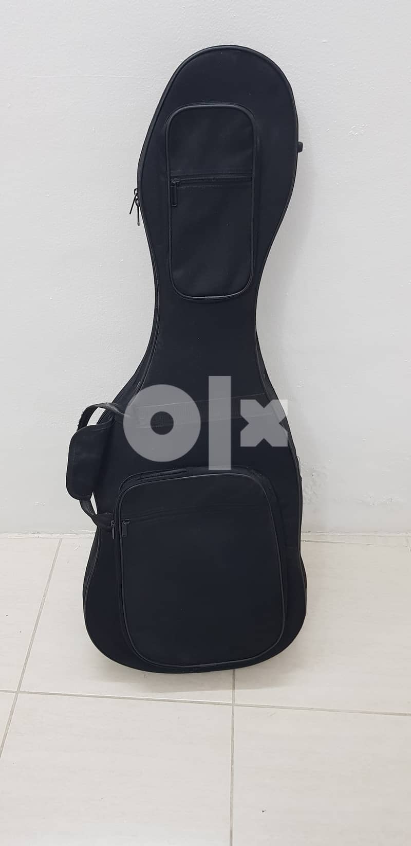 Guitar case 1