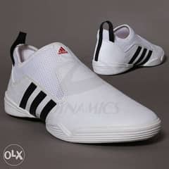 Taekwondo Adi-Bra  Shoes 0