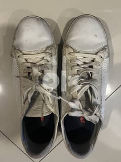 Skechers sports shoes