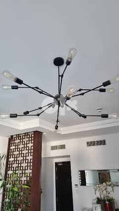 Chandelier for Sale 0