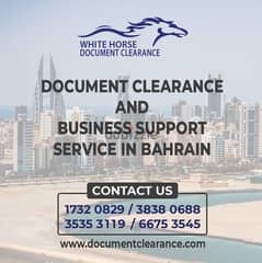 DOCUMENT CLEARANCE SERVICES 0