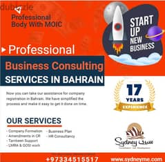 Professional Business Consulting Services in Bahrain