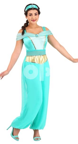 Haloween costume - Jasmine Costume Adult