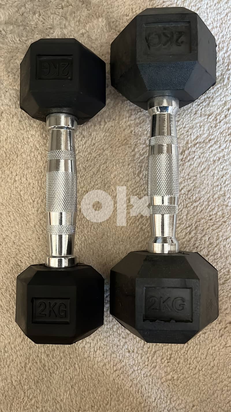 Home gym weights 1