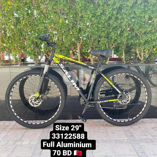 29" Aluminium bike 1
