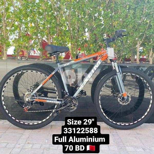 29" Aluminium bike 4